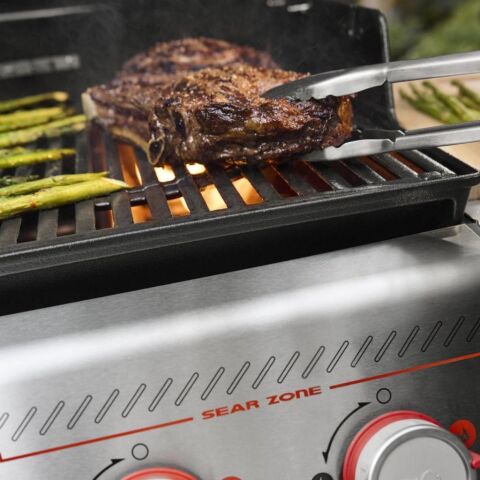 Weber Spirit EP-335 Gazlı Mangal