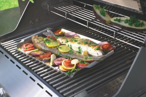 Weber Mangal Style Tava