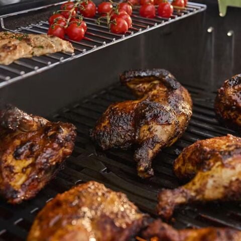 Weber Genesis E-335W Gazlı Mangal