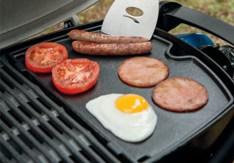 Weber Q 1000 Mangal Izgara Plakası