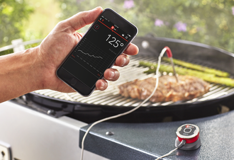 Weber iGrill Mini Universal Mangal Et Termometresi